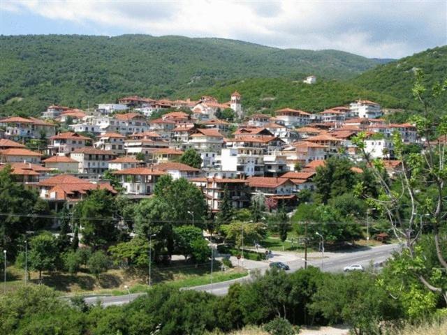 Erato Hotel Neos Panteleimonas Esterno foto