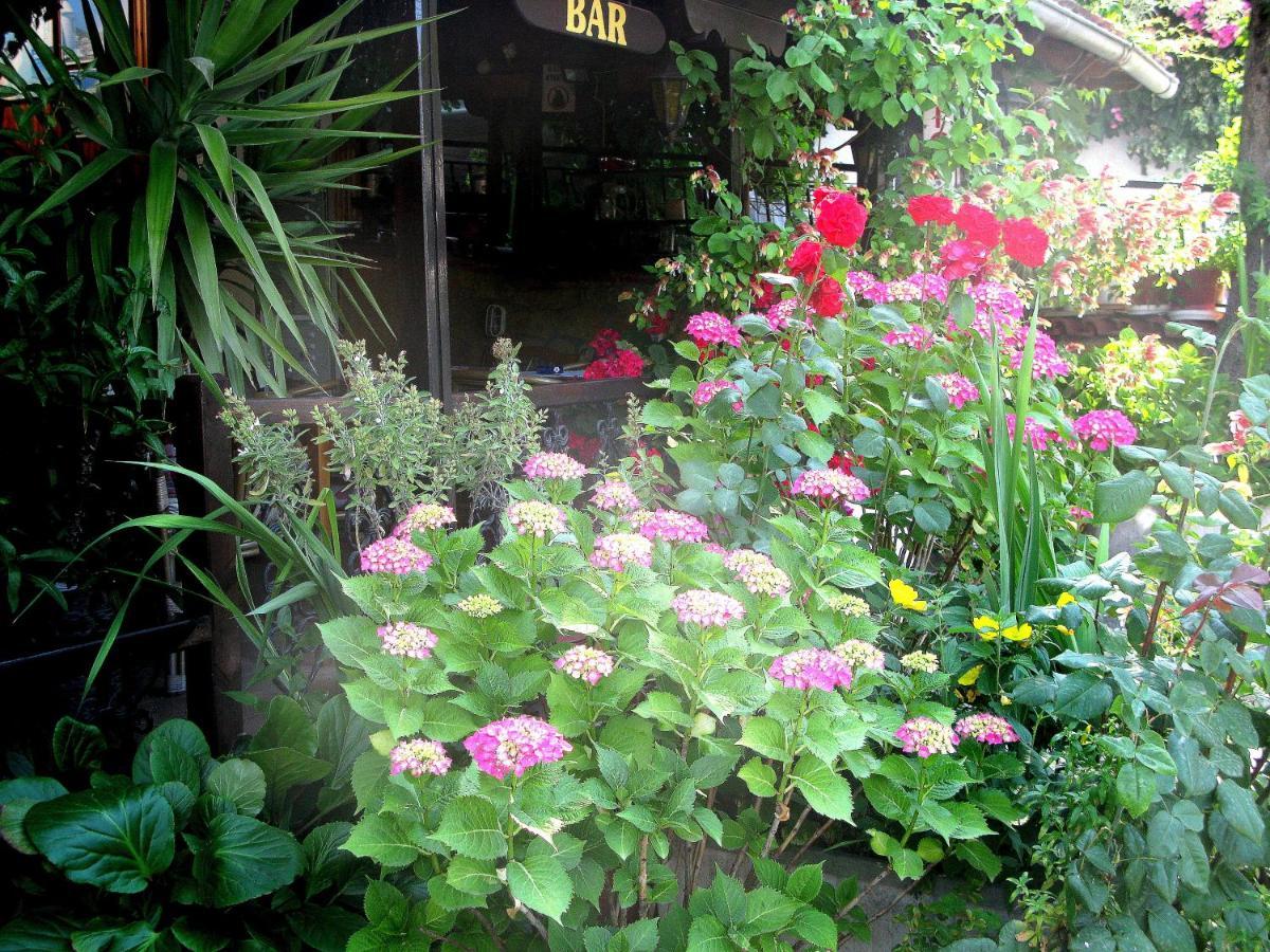 Erato Hotel Neos Panteleimonas Esterno foto
